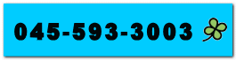045-593-3003 