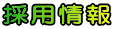 �̗p���